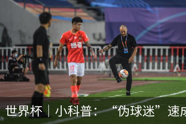 世界杯｜小科普：“伪球迷”速成手册